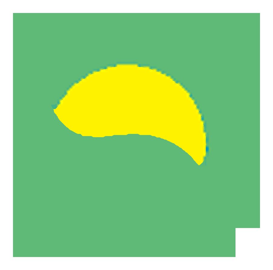 لينا للطاقة - أنظمة الطاقة الشمسية والأسطح الخضراء